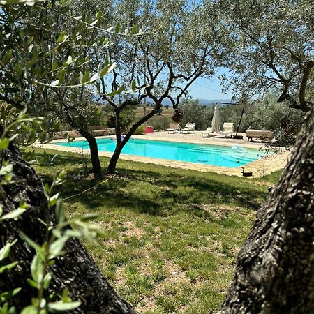 Agriturismo Uliveto Benedetti Leilighet Spoleto Eksteriør bilde