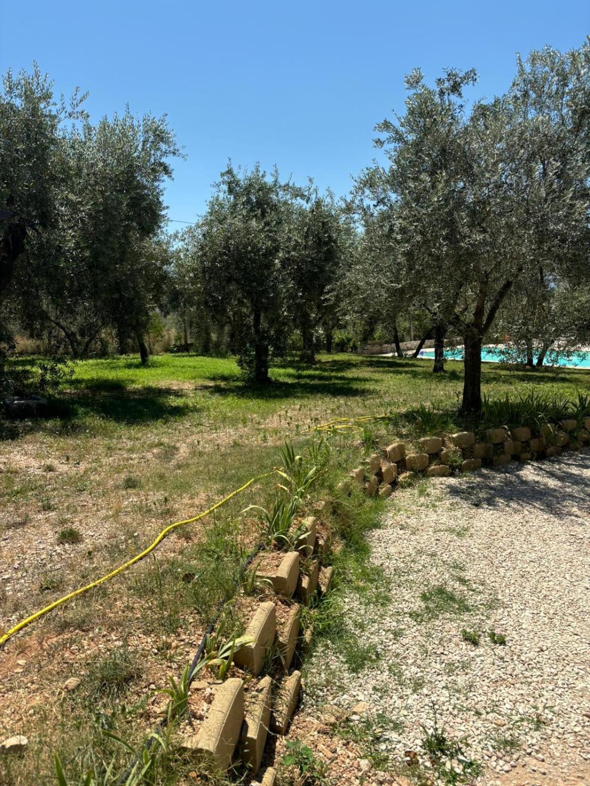 Agriturismo Uliveto Benedetti Leilighet Spoleto Eksteriør bilde